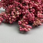 IMG_7711.jpeg