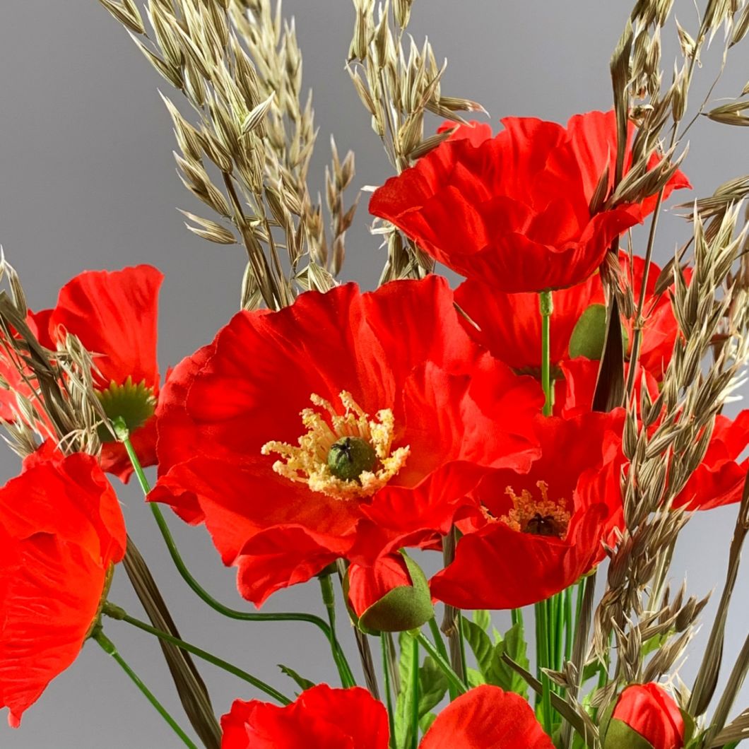 Poppy Red - www.BrandonThathers.co.uk IMG_1003.jpg