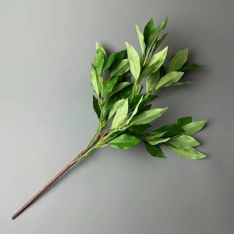 Bay Leaf Branch, 56 cm long, poseable stems Brandon Thatchers