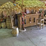 Palm Bar.jpg