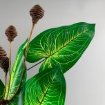 Jurassic leaf - www.BrandonThathers.co.uk IMG_6320.jpeg