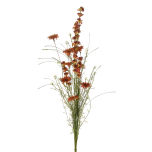 NewEnglish-Heath-Daisy-Mix-Orange.jpg NewEnglish-Heath-Daisy-Mix-Orange.jpg