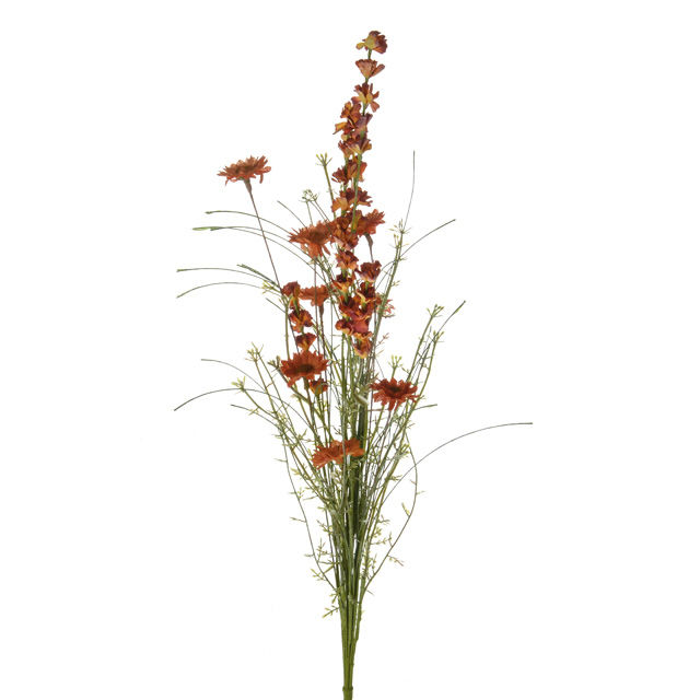 NewEnglish-Heath-Daisy-Mix-Orange.jpg NewEnglish-Heath-Daisy-Mix-Orange.jpg