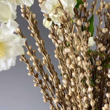 Mioti Sticks x 10 stems, approx. 65 cm long, Natural Floral Deco