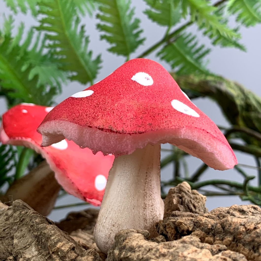 Faux Fungi- www.BrandonThathers.co.uk IMG_2337.jpeg