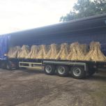 Stooks ready for travel - www.brandonthatchers.co.uk