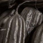 Jingah - www.BrandonThathers.co.uk 25015-BrandonThatcher-web-size-29-7-20-310.jpg