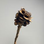 Burnt cone- www.BrandonThathers.co.uk IMG_3020.jpg