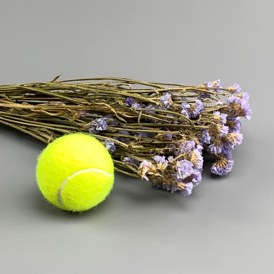 Statice Lilac Bunch Dried Flowers