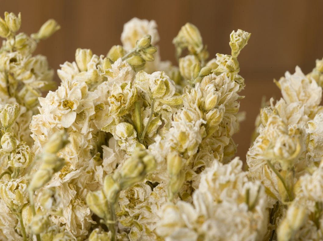 Larkspur, White bunch, 75cm - www.BrandonThatchers.co.uk