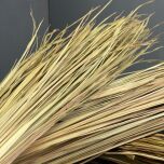 IMG_7382.jpeg