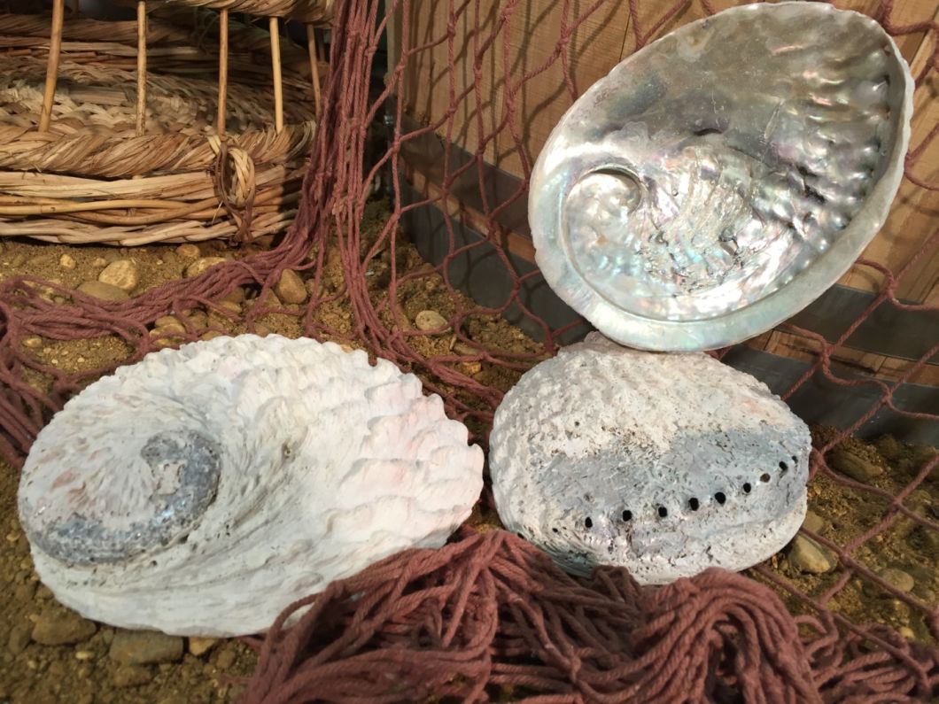 Giant Mother of Pearl - www.BrandonThathers.co.uk
