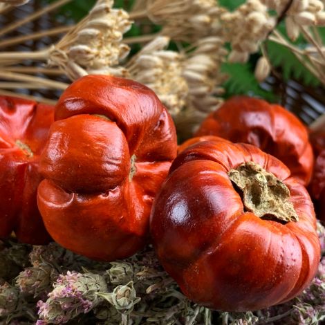 Pumpkins, glossy red 100-gram bag /15 fruits, approx. 35 mm diameter, natural, dried floral deco