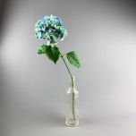 Sky-Blue Hydrangea- www.BrandonThathers.co.uk IMG_0873.jpg