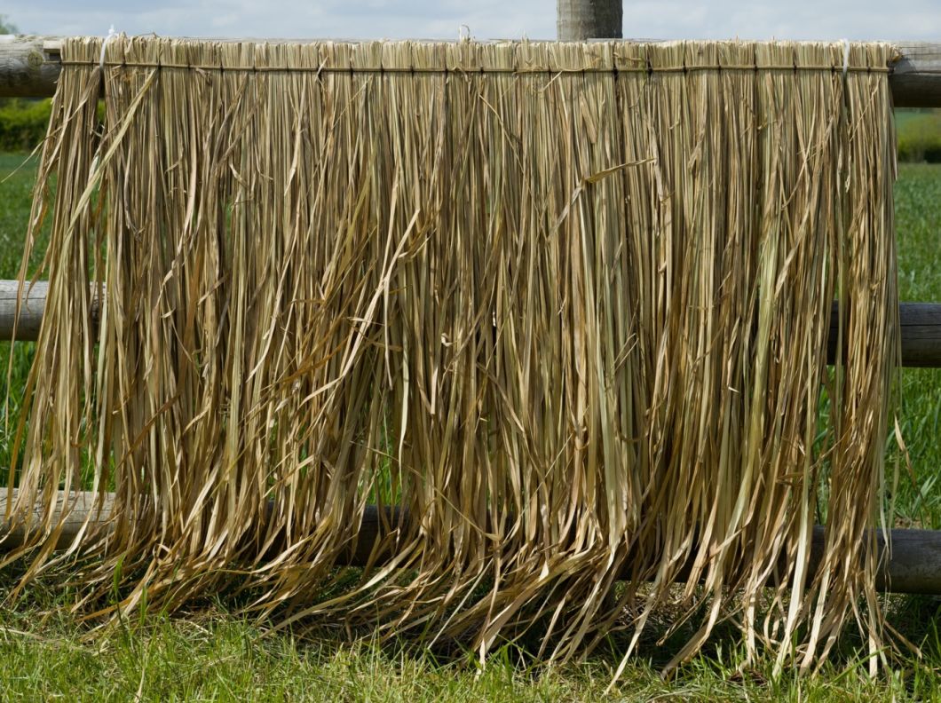 Grass Thatch – www.BrandonThatchers.co.uk 