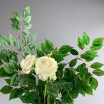 IMG_6711.jpeg