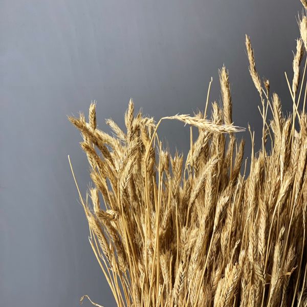 Straw Bundle, approx. 1.2 m tall by 40 cm diameter.