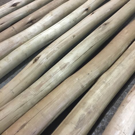 Eucalyptus Poles, 20 mm to 150 mm. Various lengths. Cleaned and autoclave treated for outdoor use