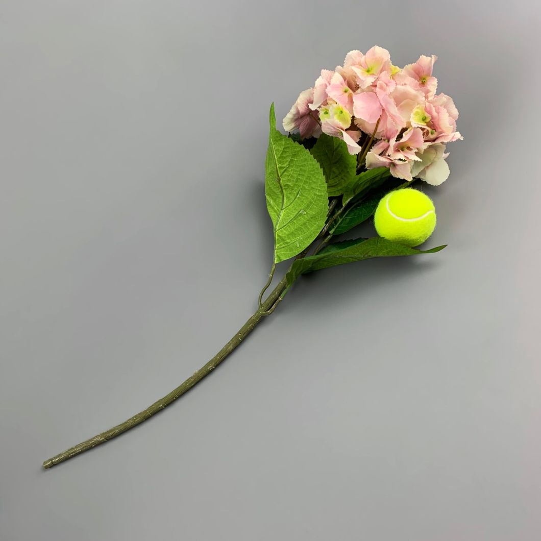 Pink Hydrangea - www.BrandonThathers.co.uk IMG_0886.jpg
