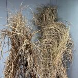 IMG_7275.jpeg