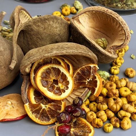 Buddanut- www.BrandonThathers.co.uk Buddha Nuts x 10, approx. 8 to 10 cm diameter, natural, dried floral deco