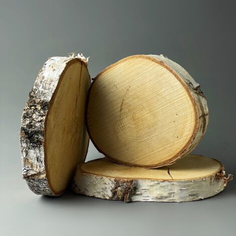 Silver Birch Slices