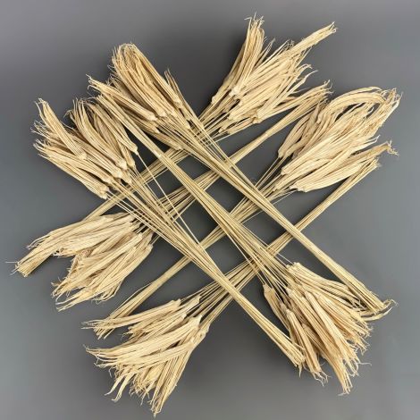 Ting Tangs by the bunch, approx. 25 stems, 65 cm long with 10 to 15 cm head, Natural Dried Floral Deco