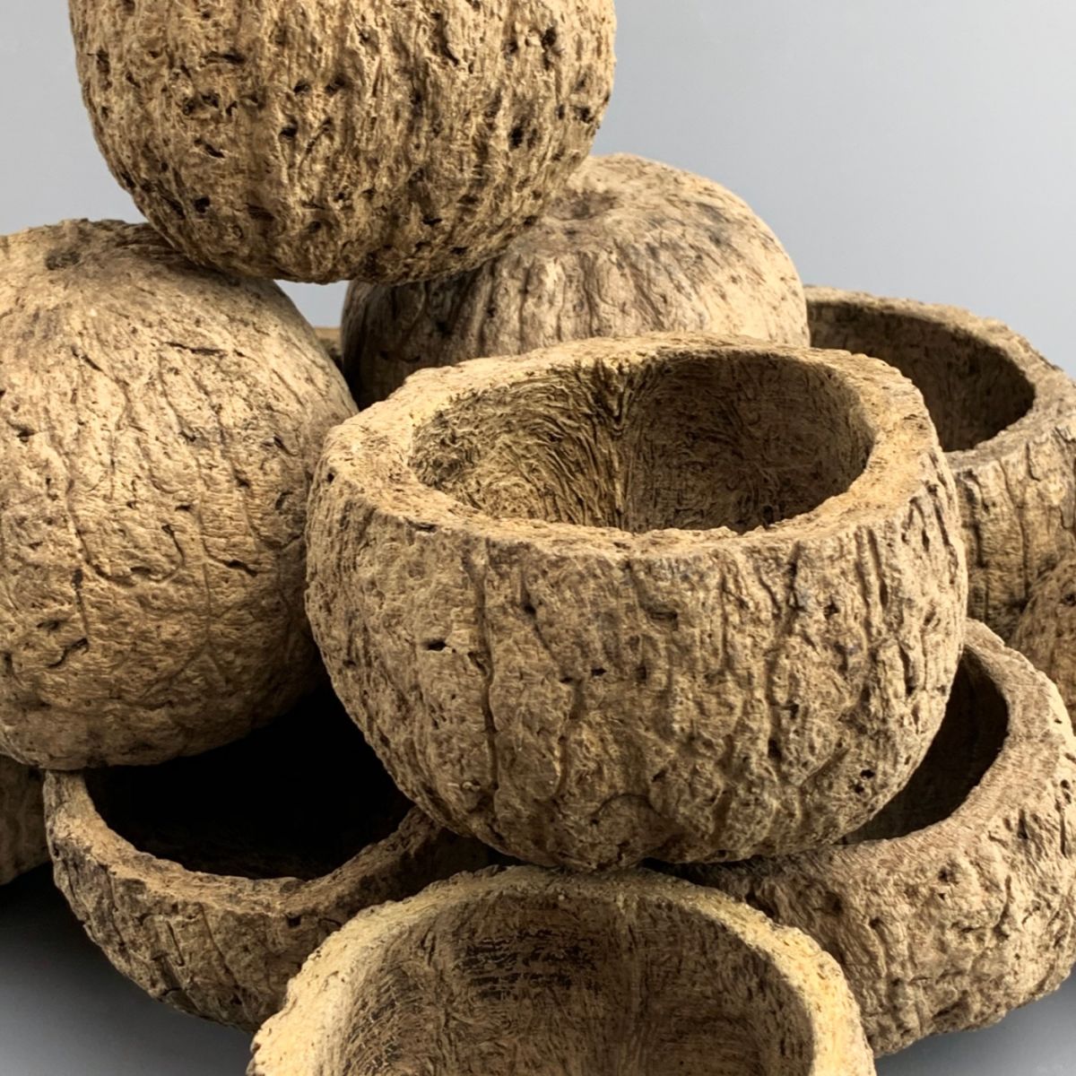 Coconut Shell x 10, approx. 8 to 10 cm diameter