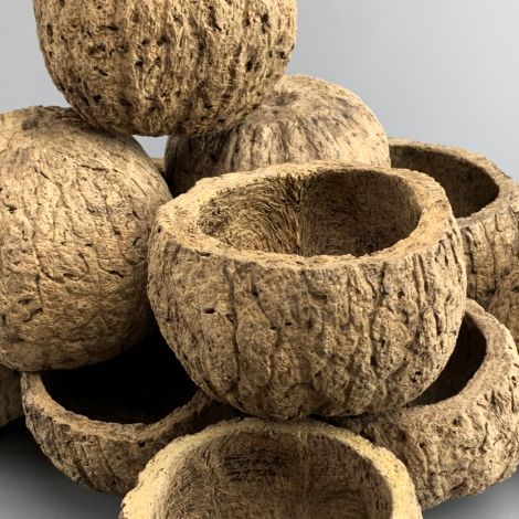 Coconut Shell x 10, approx. 8 to 10 cm diameter, natural, dried floral deco