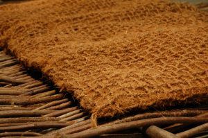 Coir-Pillow-2-e1506678282228.jpg