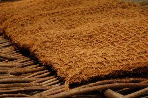 Coir-Pillow-2-e1506678282228.jpg