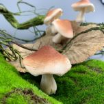 Faux Fungi- www.BrandonThathers.co.uk IMG_2310.jpeg