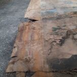 Brandon Thatchers Props WhatsApp Image 2024-09-27 at 16.52.07_bd39bd06.jpg