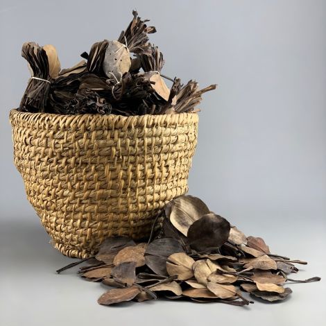 Spoon Leaves, Bundled in approx. 50. Each leaf 12 cm long by 6 cm wide, Natural Dried Floral Deco