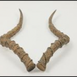 Antilope-Horn-42x20x6-e1506606465720.png