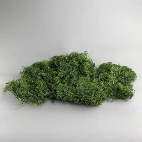 Curly Wood Moss, Green. Dried in 1 kg bag. Ideal for props, dressing or greens