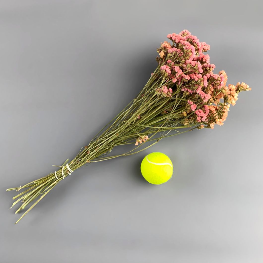 Statice, bunch, approx. 75cm - www.BrandonThatchers.co.uk Statice, bunch, approx. 75cm - www.BrandonThatchers.co.uk