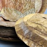 Leaf Plates – www.BrandonThatchers.co.uk IMG_5266.jpg