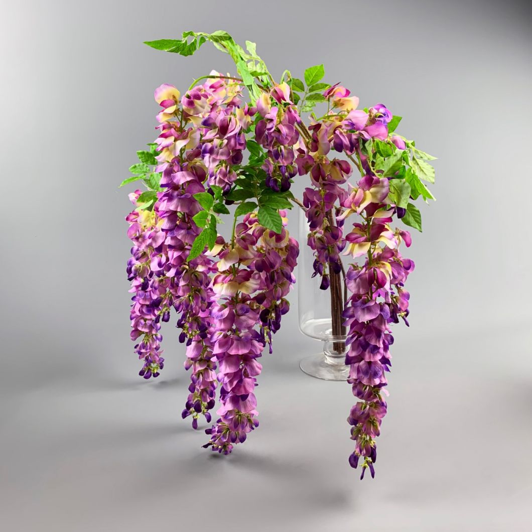 Wisteria Purple - www.BrandonThathers.co.uk IMG_1156 copy.jpg
