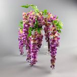 Wisteria Purple - www.BrandonThathers.co.uk IMG_1156 copy.jpg