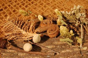 Brandon-Thatchers-bark-sheet-brown-platyspernum-woody-pear-palm-ring-coconut-twig-brunia-forgives-hops-banana-stem-eucalyptus-star-e1506438857372.jpg Brandon-Thatchers-bark-sheet-brown-platyspernum-woody-pear-palm-ring-coconut-twig-brunia-forgives-hops-banana-stem-eucalyptus-star-e1506438857372.jpg