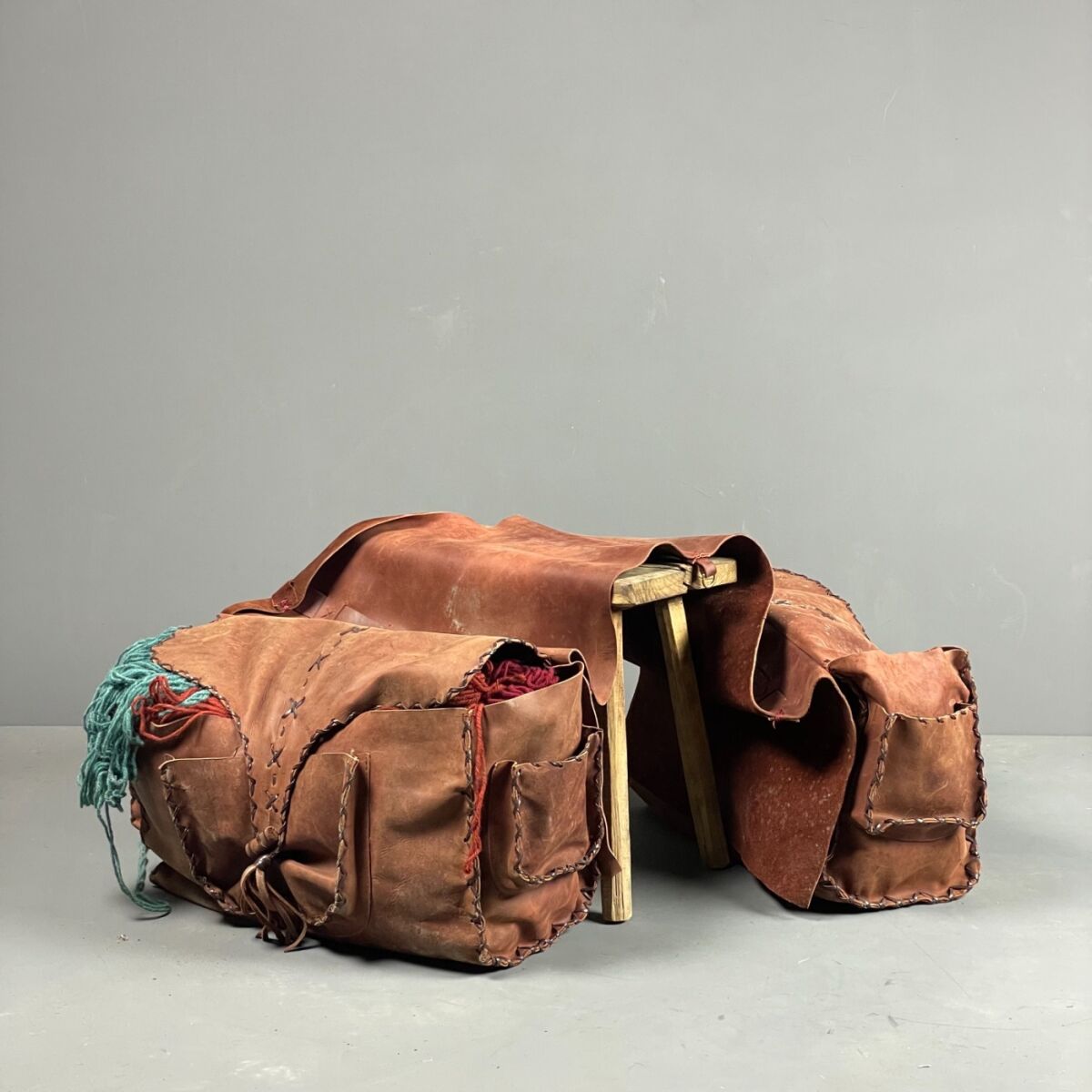 Donkey Panniers RENTAL ONLY Brandon Thatchers