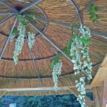 Gazebo 4 - Copy.jpeg