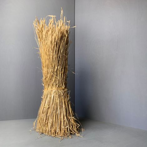Straw Bundle, approx. 1- 1.5 m tall by 40 cm diameter. Complete with ears, 90% of corn removed. Natural, dried, UK grown cereal crop