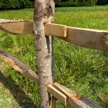 Cleft Chestnut Post.JPG
