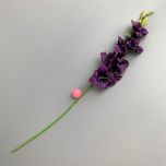 Gladiola, Damson 96 cm - www.BrandonThatchers.co.uk IMG_0740.jpg