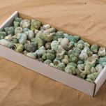 Emerald Twist - www.BrandonThathers.co.uk SHELL EMERALD SNAIL BOX.jpg