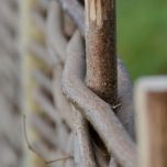 Full Hazel Hurdle - Brandon Thatchers BRANDON THATCHER-4-93.jpg