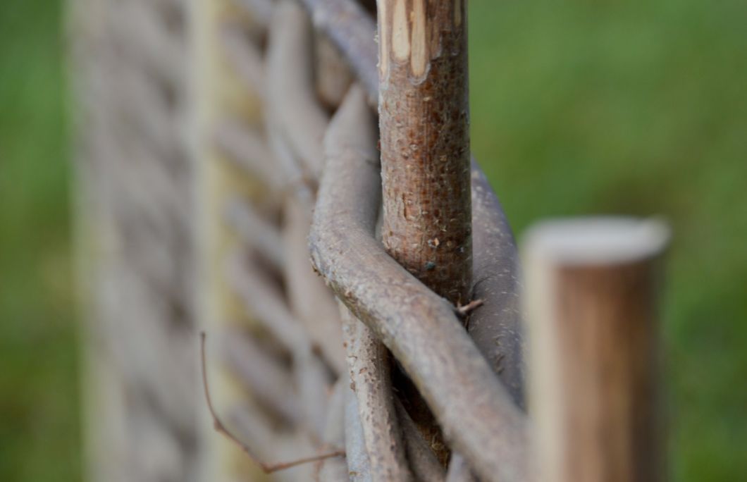 Full Hazel Hurdle - Brandon Thatchers BRANDON THATCHER-4-93.jpg