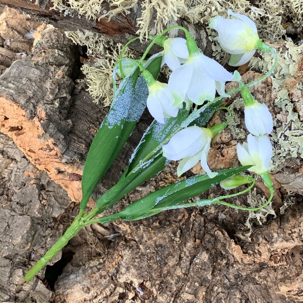 Snowdrops, Frosted Bunch 36 cm- www.BrandonThatchers.co.uk